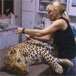 Measuring a leopard